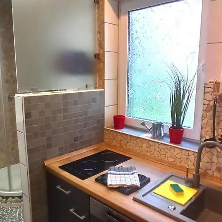 Arode Kleiner Harzensfreund Apartment Sankt Andreasberg